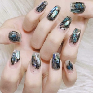 Design Xà Cử